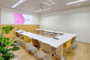 Sala de reunião ampla com 14 lugares, projetor unidade paraíso